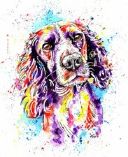 Spaniel Springer Cocker Art Print Painting Artwork Picture Gifts,  - Size Option
