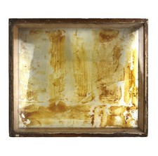 Antique Old Museum Specimen