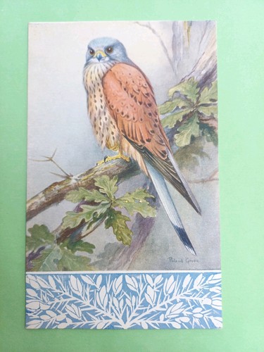 Post card artist roland - by,