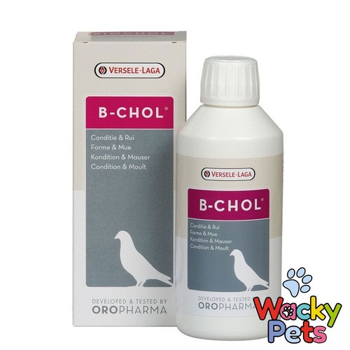 Racing pigeon supplement - racing,