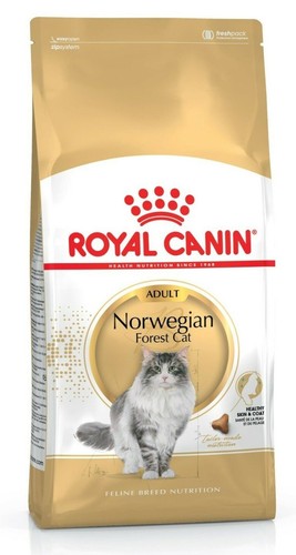Royal canin norwegian forest - norwegian,