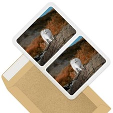 2 x Rectangle Stickers 10cm - Samoyed Husky Puppy Dog Nature #46271