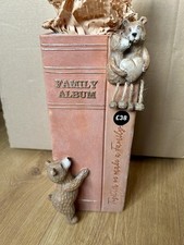 NEXT Bertie Bear Family Album