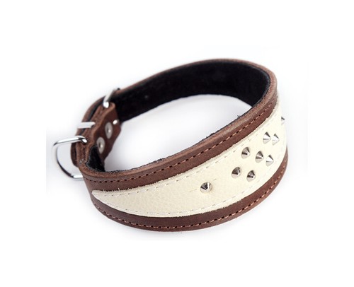 Greyhound whippet italian - whippet/,