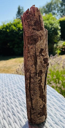 29cm driftwood log - log, with