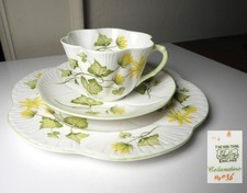 SHELLEY Dainty CELANDINE Trio