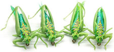 4PCS Grasshopper Dry Fly Flies Insect Baits Fishing Lure Carp Trout Muskie