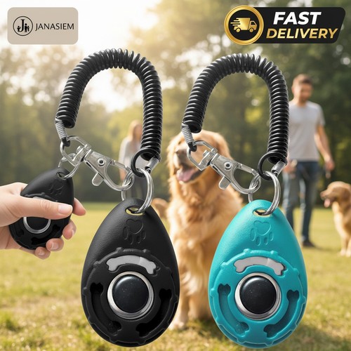 Loud click dog - click, training