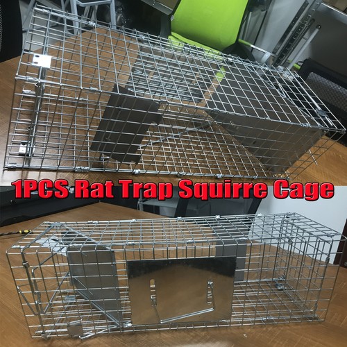 Humane squirrel trap - humane,
