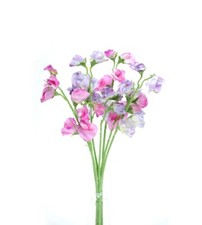 Artificial silk Sweetpea pink