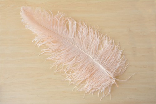 Long wedding party costume - party,