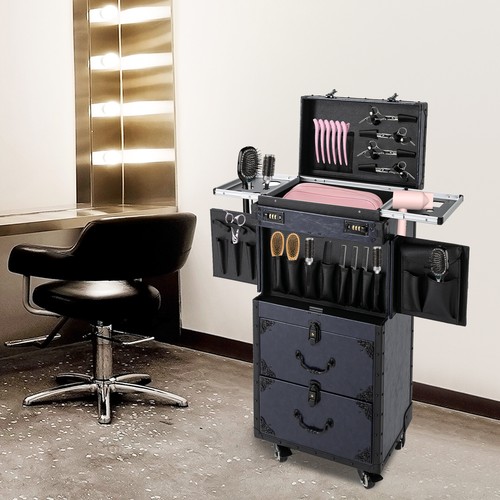 Professional makeup case - professional,