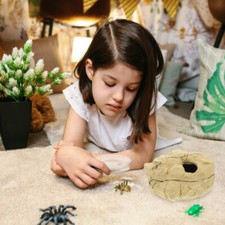  Reptile Cave Hideout Habitat