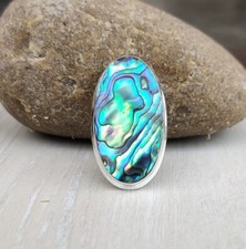 Awesome Abalone Shell Gemstone