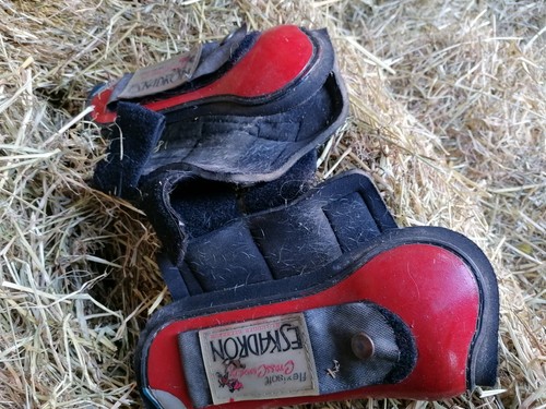 Eskadron tendon boots full - eskadron,