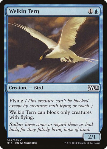 Welkin tern - welkin, (84)