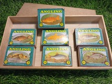 Vintage Matchbox Collection Seven Different Freshwater Fish In An Old Wooden Box
