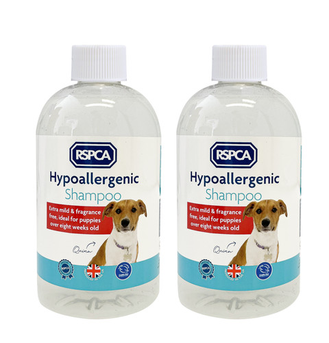 Rspca hypoallergenic dog - rspca,
