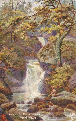 Pc63211 fairy glen - fairy,