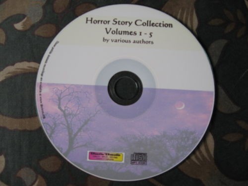Horror story audiobook - story,