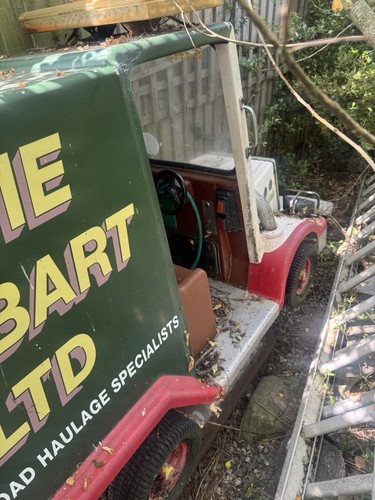 Eddie stobart child - eddie,