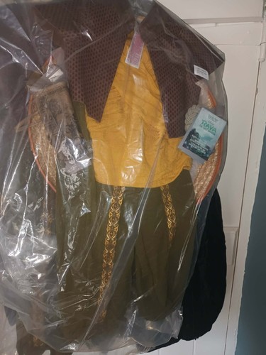 Disney store raya costume for - disney,