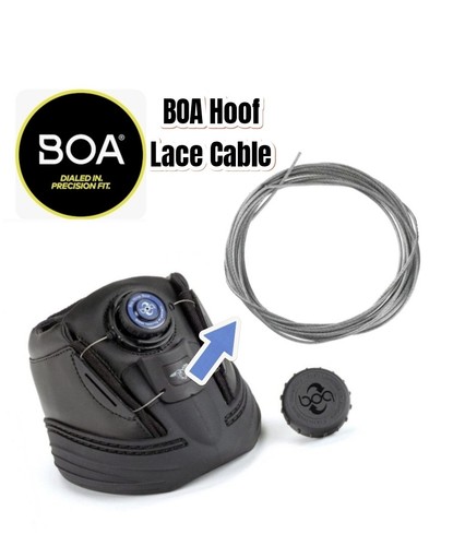 Boa horse hoof boots repair - horse,