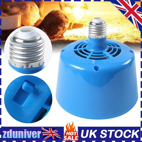Heat lamp bulb poultry brooder - heat,