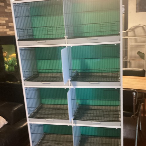 Bird cages - bird,
