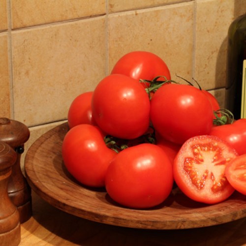 Tomato ailsa craig - , plug