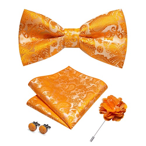 Champagne paisley bow tie set - champagne,