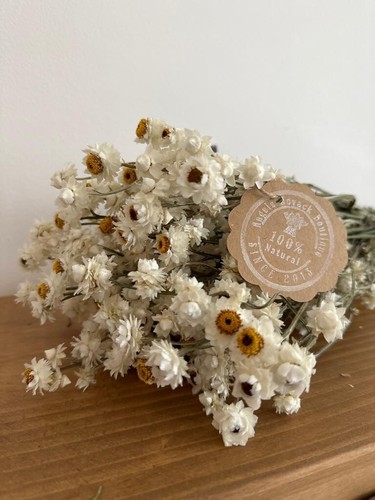 80gr dried wedding flowers - dried,