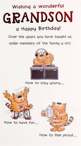 Grandson birthday card over - card,