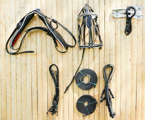 Black horse patent - black,