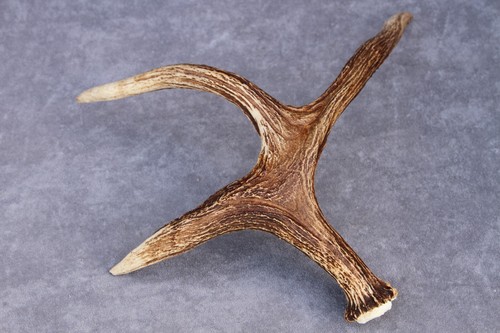 Naturally shed wild - naturally,