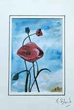 ART PRINT - Poppies.