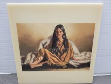 Native American Art Penni Anne