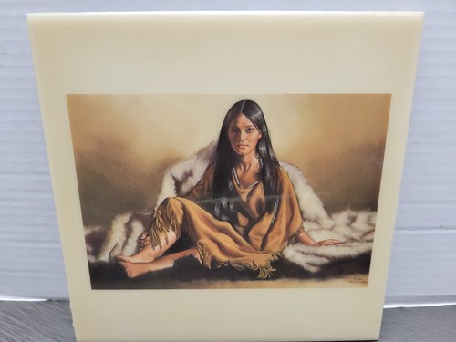Native american art - native,