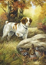 BRITTANY SPANIEL DOG AND BIRDS