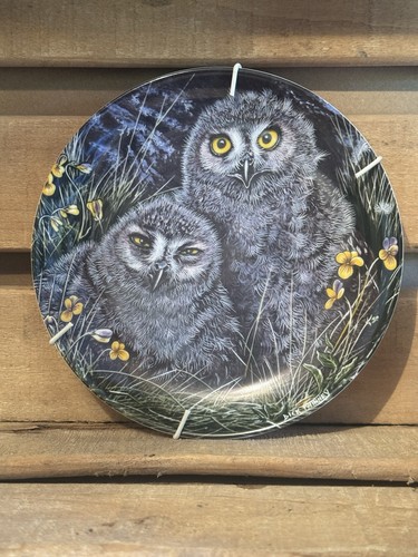 Wedgwood owls design china - wedgwood,