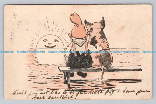 R811826 pig and man sitting - pig, on