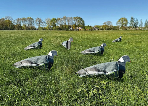 Pigeon decoys set 6 - set, of