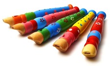 Children recorder for kids - children,