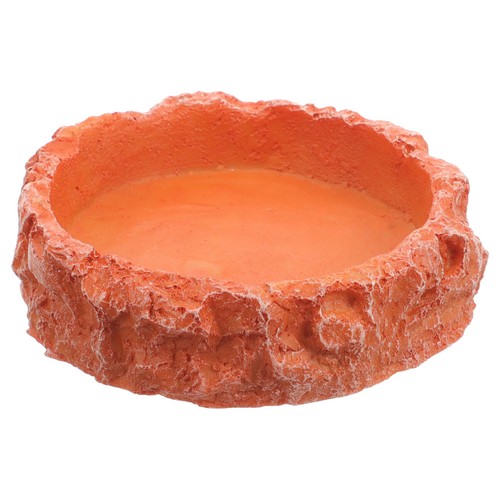 Terrarium feeding bowl - feeding, lizard
