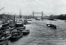 1909 Photographic View of London THE POOL OF LONDON London Stereoscopic/Photo