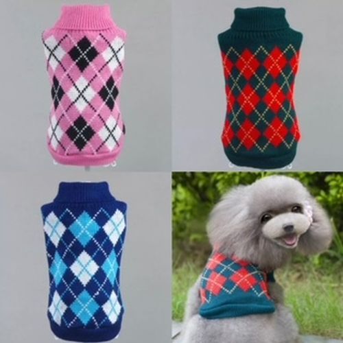 Dog puppy pet - pink, green