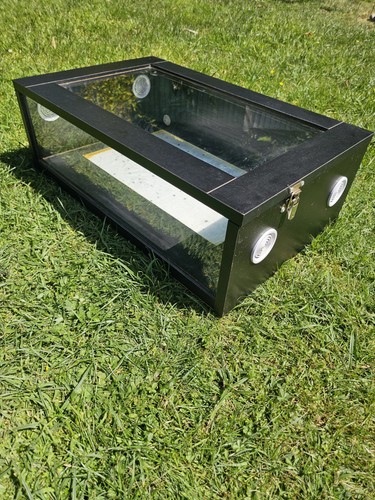 Glass reptile - glass,