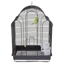 Rainforest Bird Cage San
