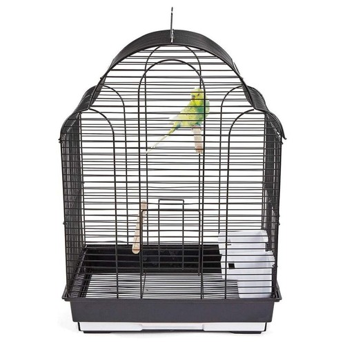 Rainforest bird cage san - bird,