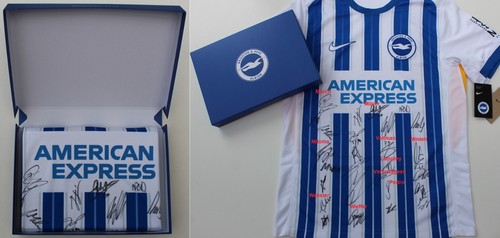2024 official brighton home - 2024-25,